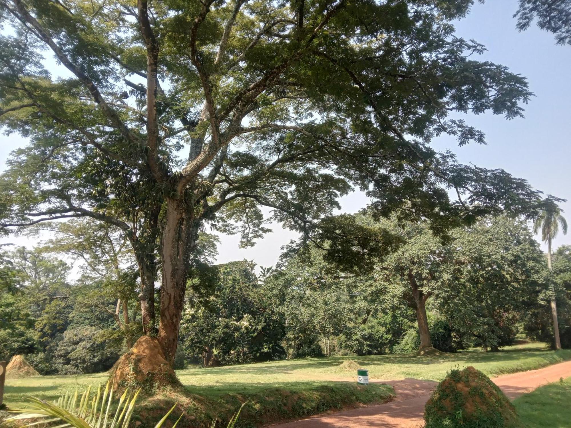 Mowicribs Hotel And Spa Entebbe Ruang foto
