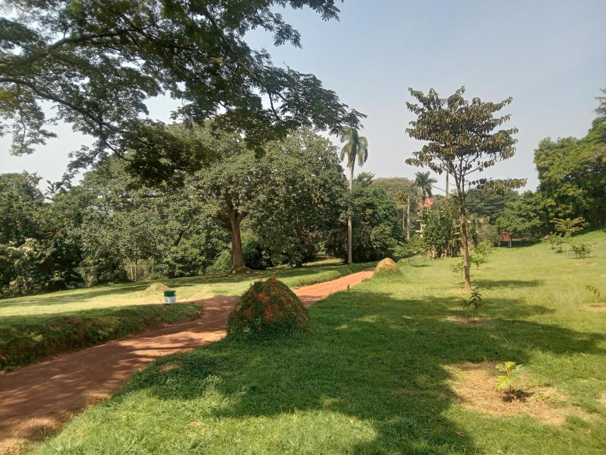 Mowicribs Hotel And Spa Entebbe Ruang foto