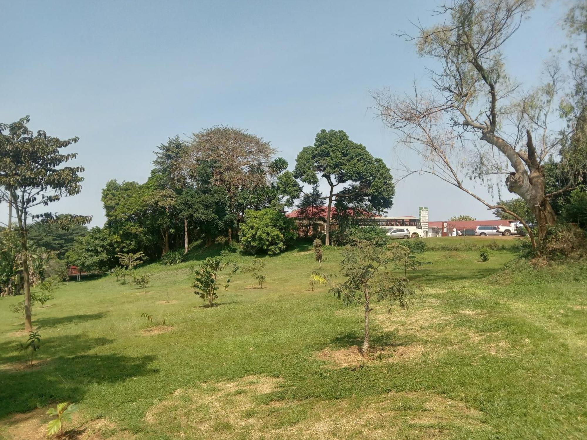 Mowicribs Hotel And Spa Entebbe Ruang foto