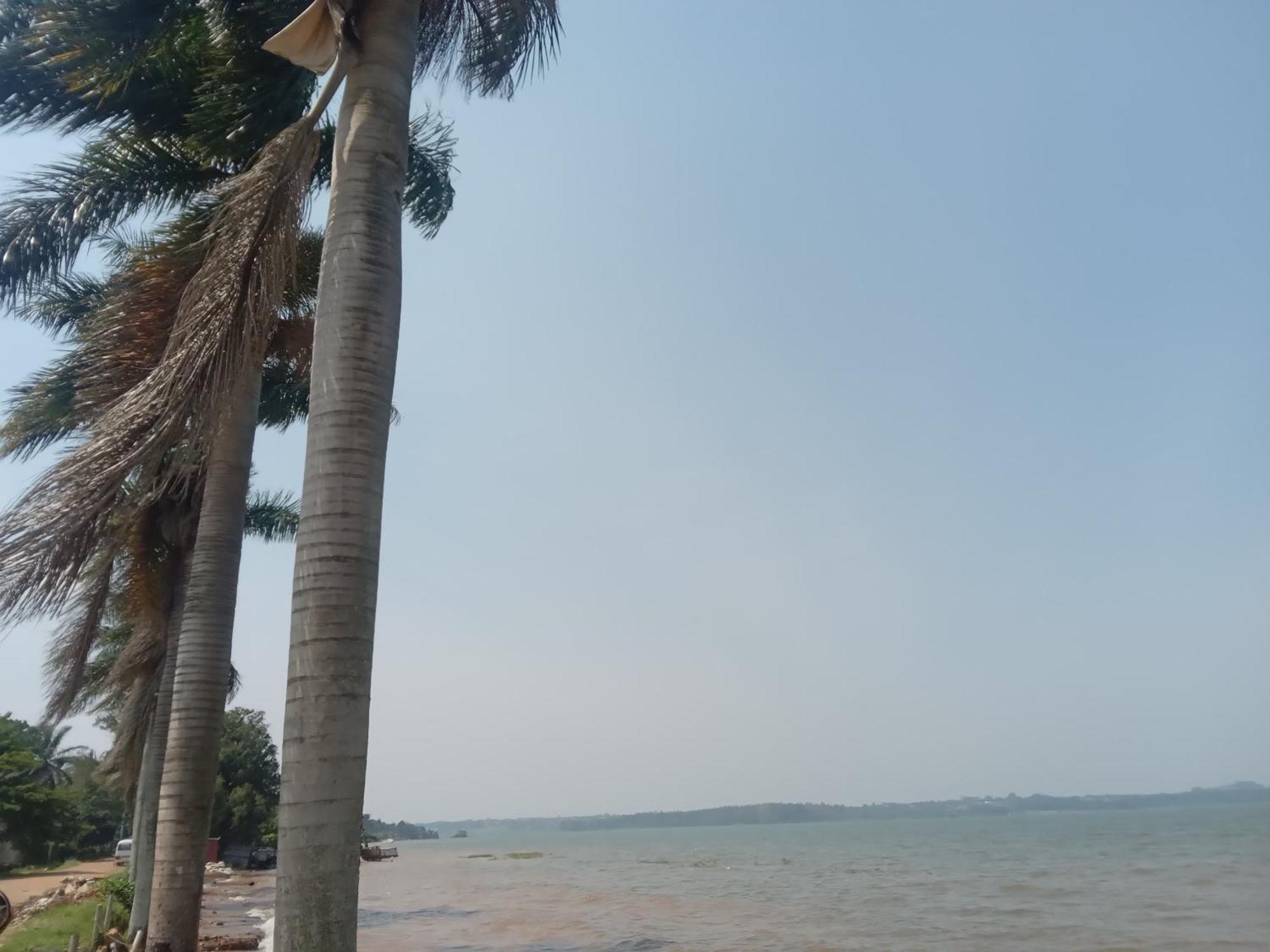 Mowicribs Hotel And Spa Entebbe Bagian luar foto