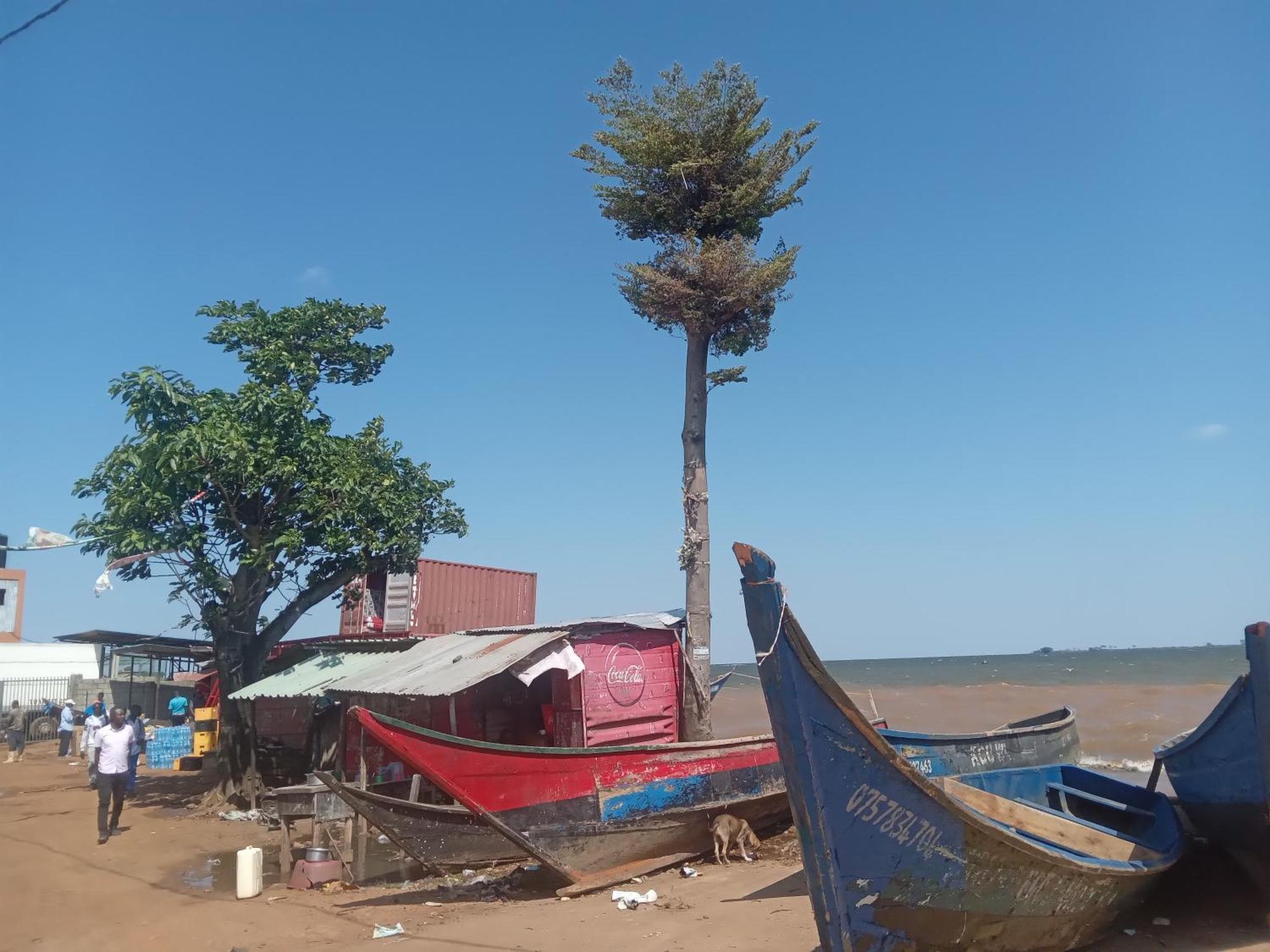 Mowicribs Hotel And Spa Entebbe Ruang foto